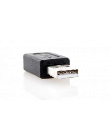 USB Male to Mini USB Female Adapter