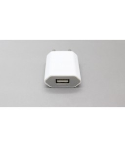 1100mA USB Power Adapter/Wall Charger (EU)